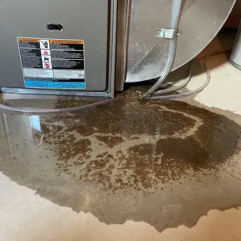 Appliance Leak Cleanup in Lisle, IL